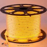 ریسه شلنگی LED انبه ای افروغ گستر - تصویر 3